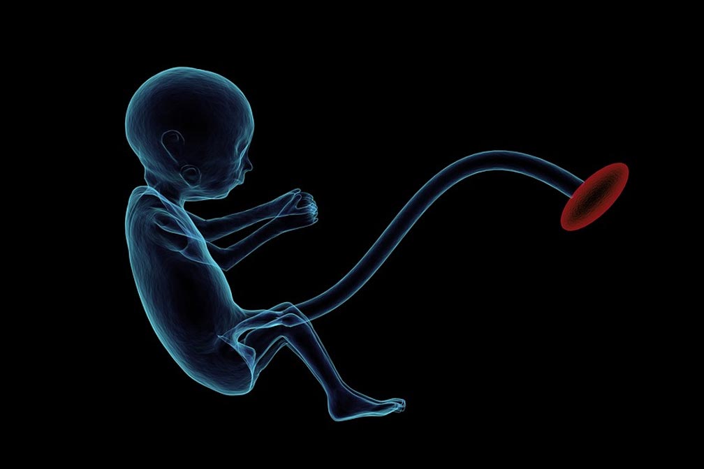 供卵宝宝多大可以开始喝水？