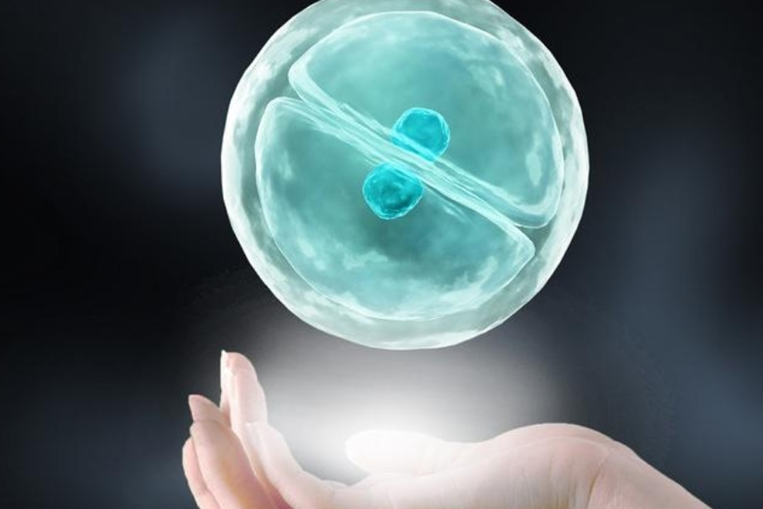 供卵宝宝着凉发烧怎么办？家长必备的应对指南