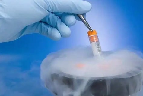 供卵宝宝容易积食的原因与应对策略 供卵宝宝容易积食的原因与应对策略