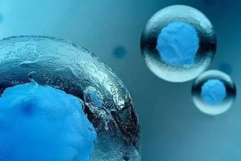 代生孕妇排骨汤的烹饪方法 代生孕妇排骨汤的烹饪方法