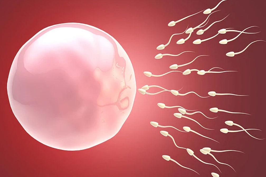 代生孕妇缺铁的原因及其影响 代生孕妇缺铁的原因及其影响